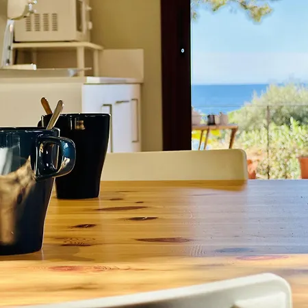 Maset Costabravasi Holiday home *